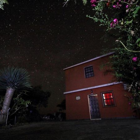 Apartmán Bodega Goyo Puntallana Exteriér fotografie