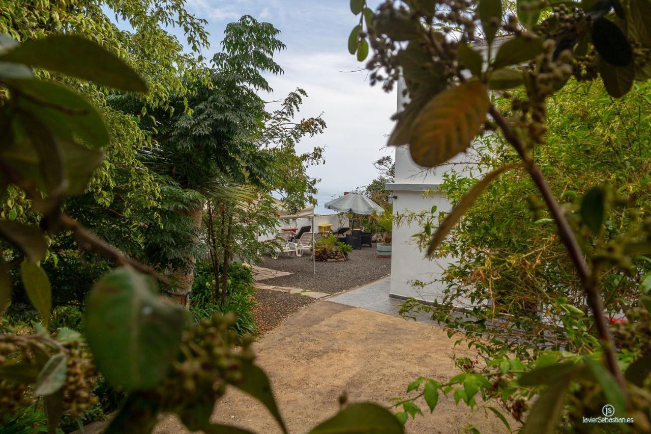 Apartmán Bodega Goyo Puntallana Exteriér fotografie