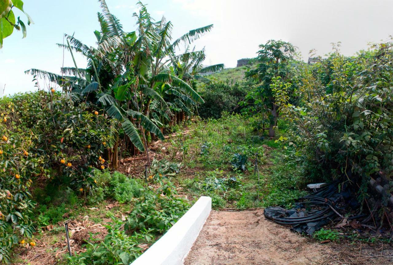 Apartmán Bodega Goyo Puntallana Exteriér fotografie